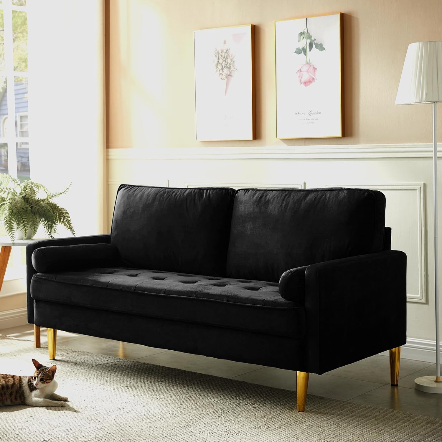 67" Modern Velvet Loveseat Sofa Couch, Mid-Century Tufted Upholstered Small Love Seat Couch with 2 Pillows & 4 Golden Legs, 2-Seats Couches for Compact Space, Living Room, Apartment (Black)